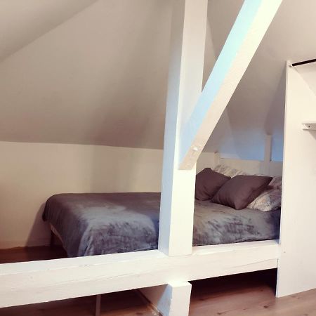 Au Bord Du Foron Apartment Scionzier Ngoại thất bức ảnh